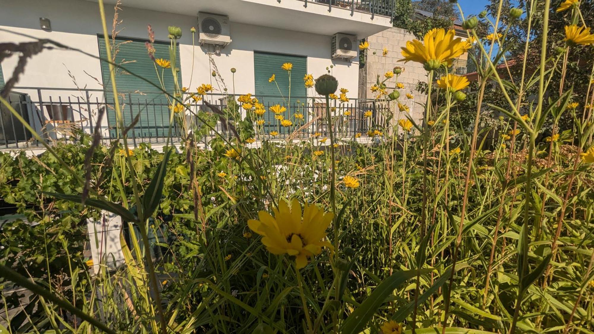 فندق Casa Do Olival Peso da Régua المظهر الخارجي الصورة