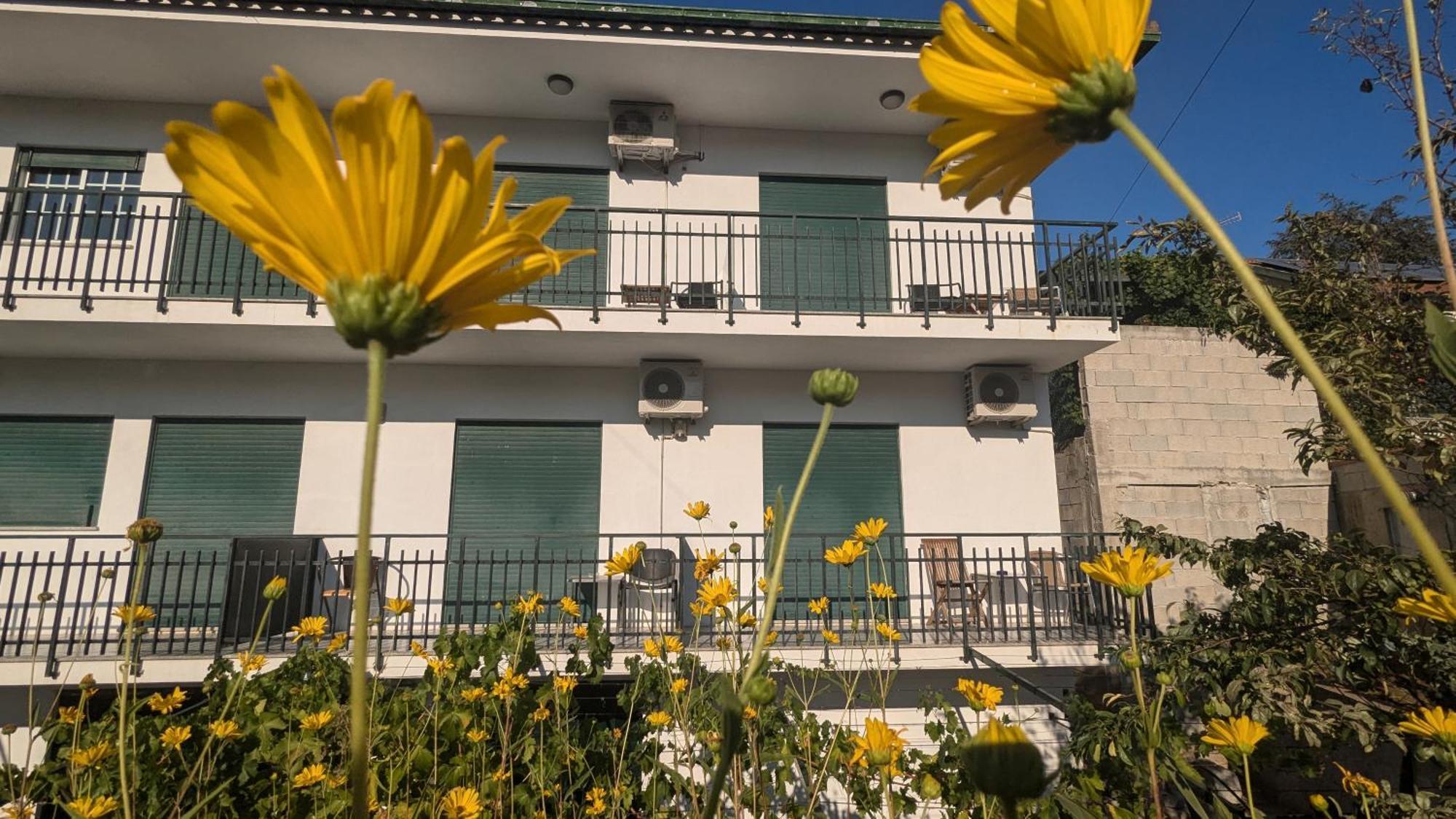 فندق Casa Do Olival Peso da Régua المظهر الخارجي الصورة